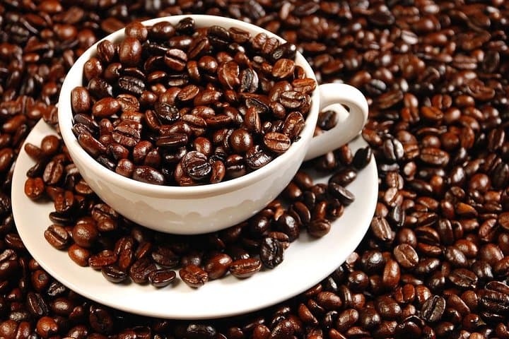 Half-Day Coffee Plantation Tour from Medellín — Copacabana Coffee Express