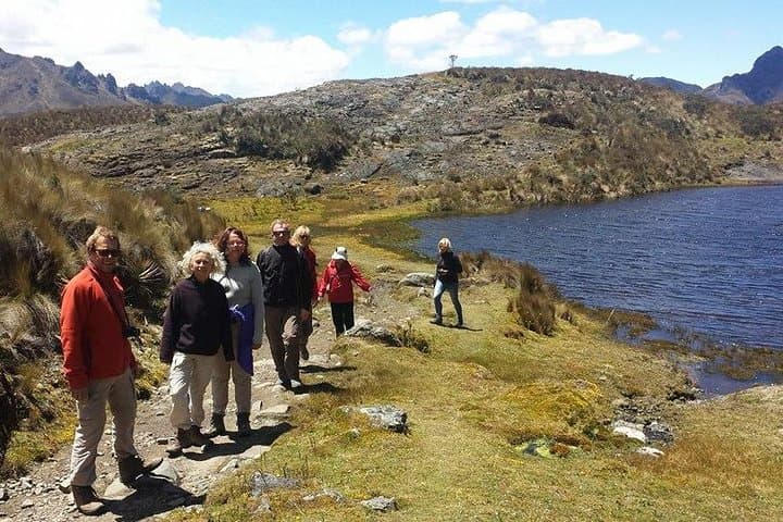 Cajas National Park Full-Day Hike: Polylepis Forests, Glacial Lakes & Llaviuco Cloud Forest