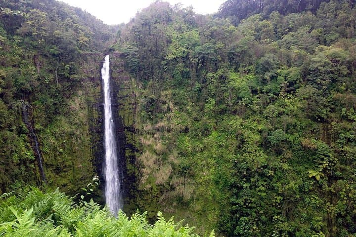 Big Island Volcano Adventure from Kona — Akaka Falls to Kilauea photo 1
