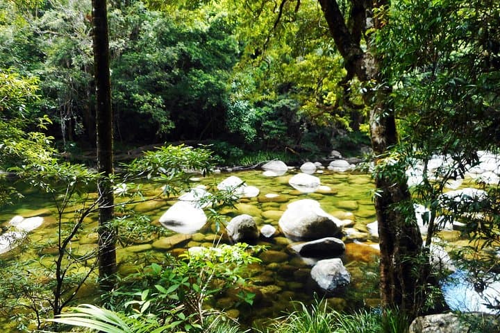 Daintree and Cape Tribulation 2-Day Rainforest & Great Barrier Reef Adventure