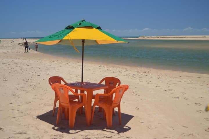 Coconut Coast Day Tour: Praia do Forte & Jacuípe Beach with TAMAR Visit photo 4