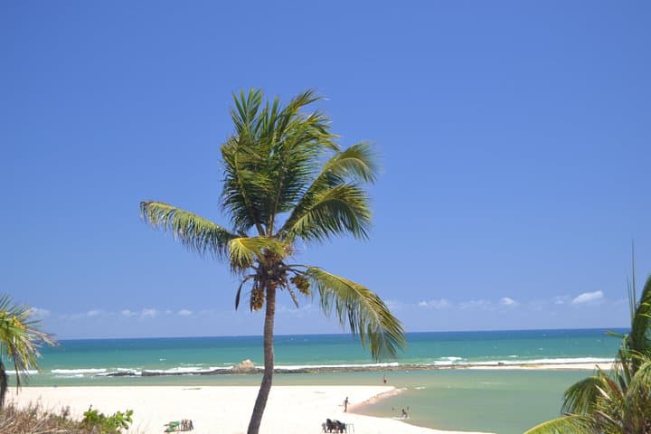 4-Day Salvador & North Coast Beach Tour — Beaches, City Sights & Turtle Project photo 4