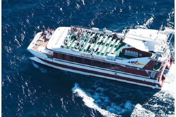 Royal Dolphin Whale Watching Excursion from Costa Adeje — Tenerife Catamaran Tour