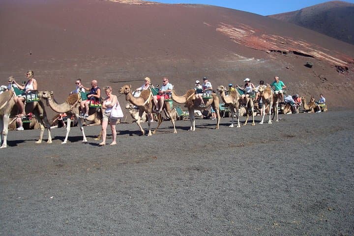 Timanfaya & La Geria Volcano Route: Guided Half-Day with Pickup from Lanzarote photo 2