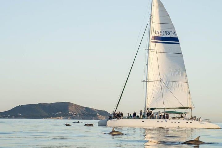 Catamaran Cruise from Cala Ratjada to Cap des Freus & Llevant Natural Park photo 2