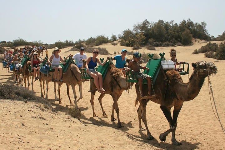 Camel Rides Across the Maspalomas Dunes: 30-Minute Camel Trek in Gran Canaria photo 5