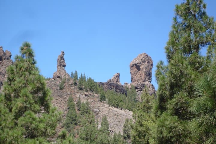 Explore Gran Canaria's Peaks: Full-Day Tour to Roque Nublo, Pico de las Nieves & Teror photo 3