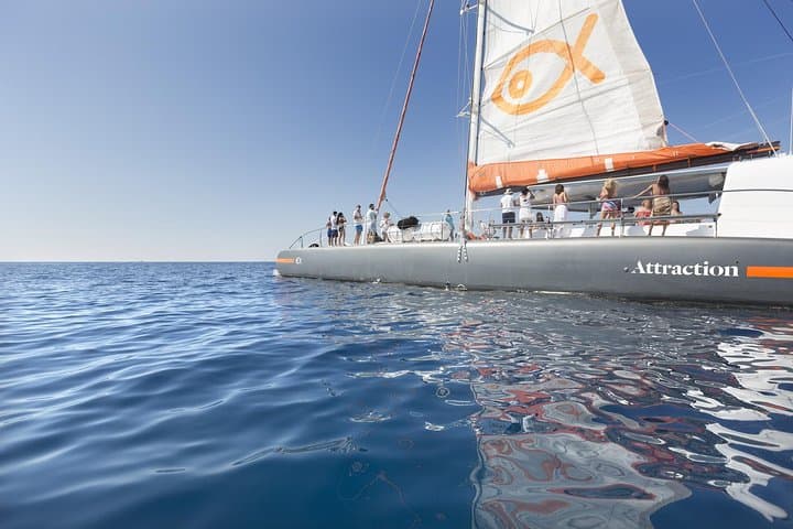 Palma Bay Catamaran Half-Day Cruise — Beaches, Snorkeling & Lunch in Mallorca photo 2