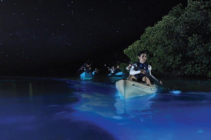 Overnight Mosquito Bay Kayak Tour — Vieques Bioluminescent Bay