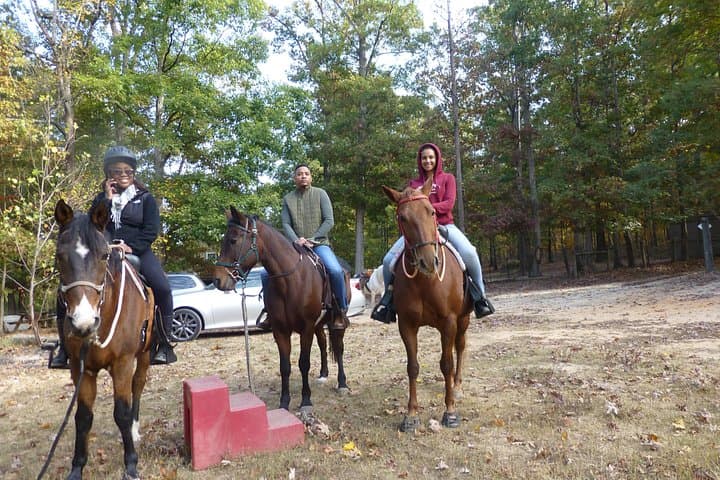 North Georgia Horseback Ride and Winery Tasting near Clayton photo 1
