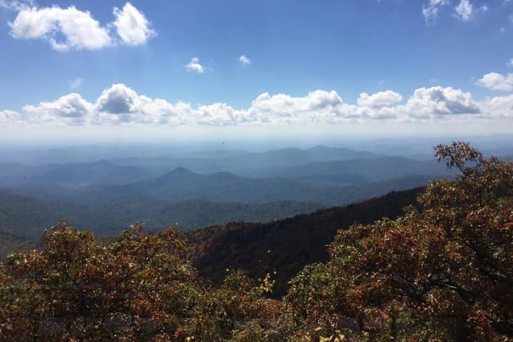 Bartram Trail Hike and Yonah Mountain Wine Tasting Day Trip from Clayton, GA photo 2