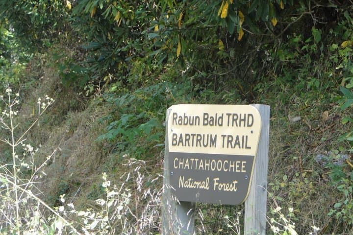 Bartram Trail Hike and Yonah Mountain Wine Tasting Day Trip from Clayton, GA photo 3