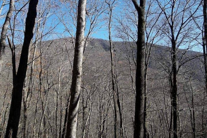 Standing Indian Mountain Hike and North Georgia Wine-Tasting Day Trip photo 2