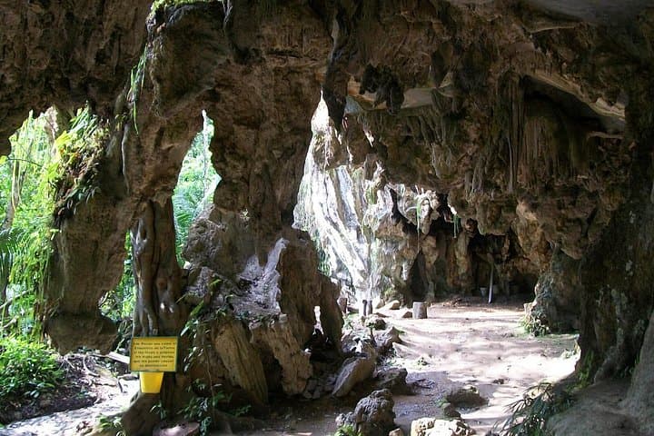 Rio Claro Jungle River Day Trip from Medellín — Swim Caves & Turquoise Waters photo 2