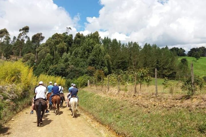 Horseback Andes Paradise: Guatape, El Peñol & Lakes Day Tour from Medellín photo 3