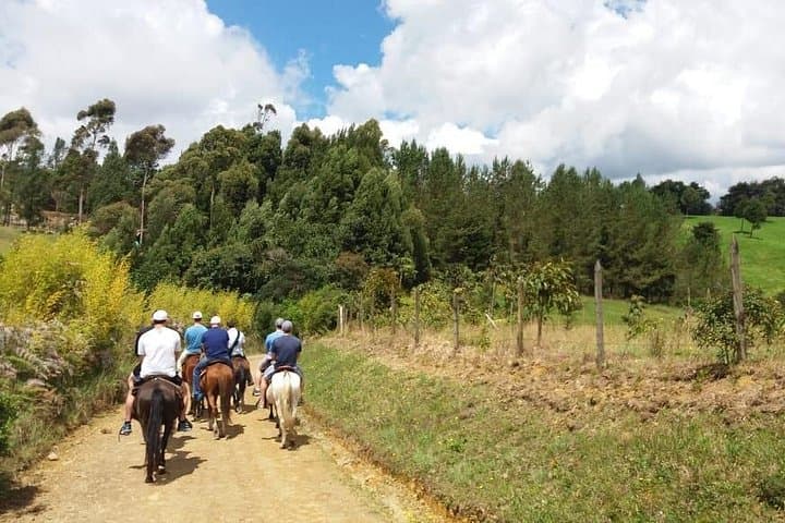 Andes Horseback Ride from Medellin: Half-Day Hacienda Adventure photo 3