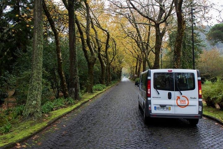 Nordeste & Povoação Full-Day Van Tour (São Miguel, Azores) — Lunch Included photo 2