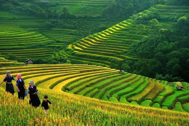 Sapa 2-Day Trek: Rice Terraces, Hill-Tribe Villages & Overnight in Sapa