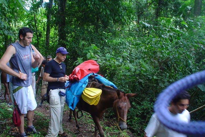 Chagres Challenge: Full-Day Jungle Expedition from Panama City
