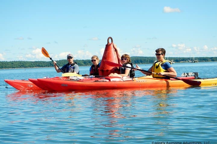 Sea Kayak Island Tour in Casco Bay — Guided Paddling from Mere Point photo 2