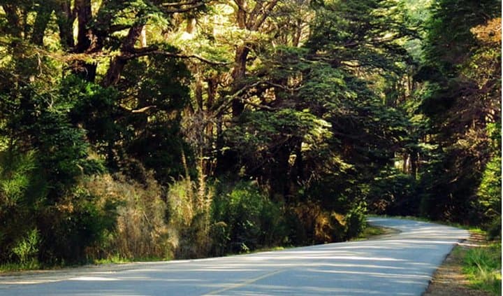 Circuito Chico Excursion in Bariloche — Short Circuit Around Nahuel Huapi photo 2