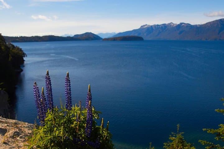 Circuito Grande in Bariloche: Full-Day Nahuel Huapi Long Circuit Tour