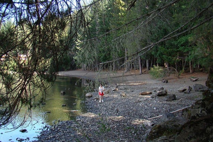 Seven Lakes Circuit from Bariloche: Full-Day Excursion to San Martín de los Andes photo 2