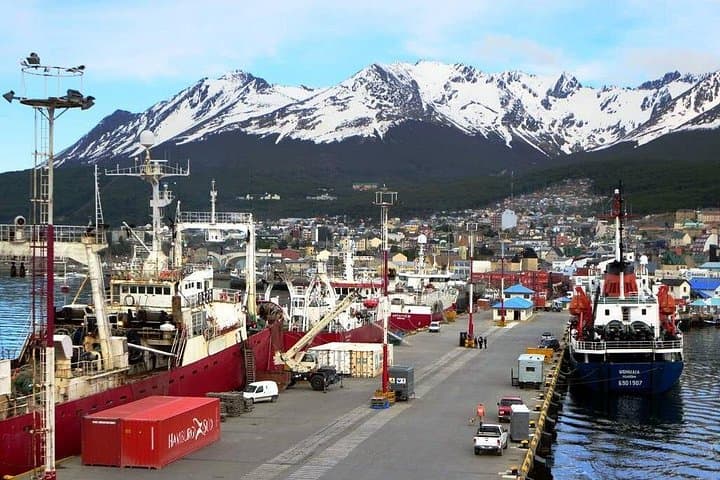 Beagle Channel Boat Navigation from Ushuaia — Sea Lions, Birds & Les Eclaireurs Lighthouse photo 2