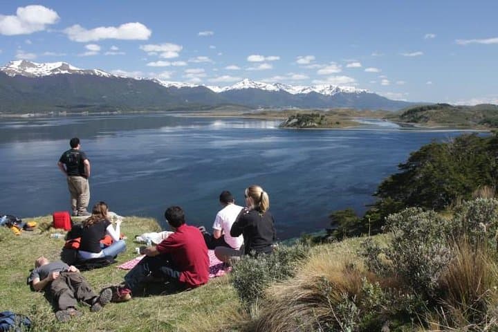 Gable Island Penguin Rookery and Harberton Ranch Day Trip from Ushuaia photo 3