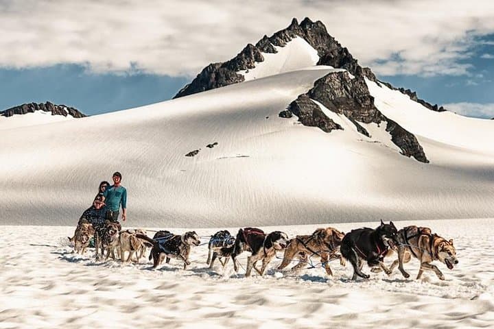 Helicopter Glacier & Dog Sledding on Godwin Glacier — Seward Day Flight photo 3
