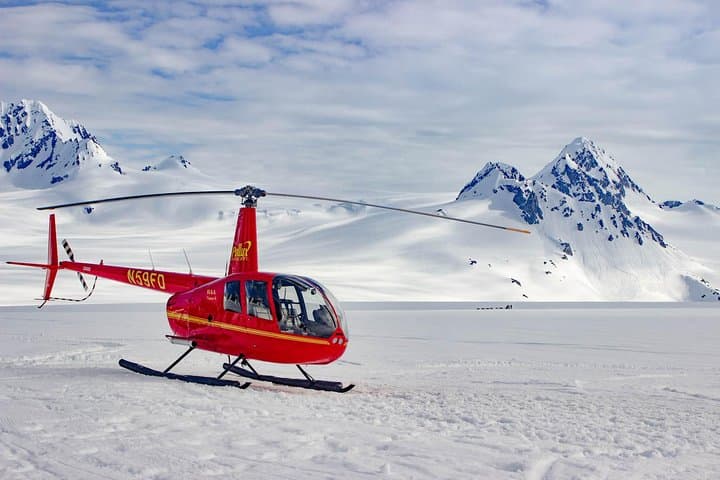 Helicopter Glacier & Dog Sledding on Godwin Glacier — Seward Day Flight photo 2