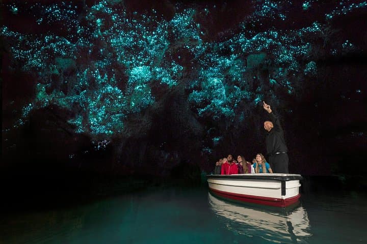 Hobbiton & Waitomo Glowworm Caves: Full-Day Small-Group Tour from Auckland