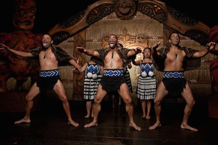 Auckland Māori Culture Experience: Private City Tour & Cultural Performance