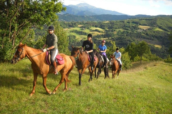Private Horseback Riding on Mount Etna with Traditional Sicilian Lunch