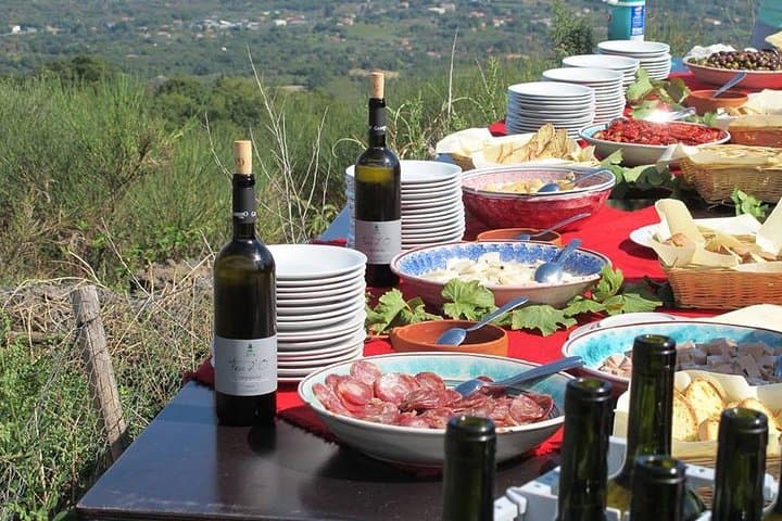 Private Etna Volcano Tour from Catania with Winery Lunch photo 2