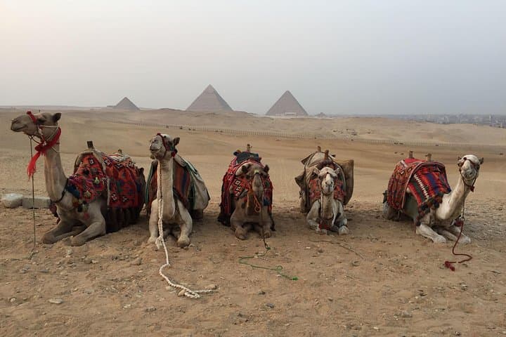 Sunset Camel Ride at Giza Pyramids: An Evening on the Giza Plateau photo 3