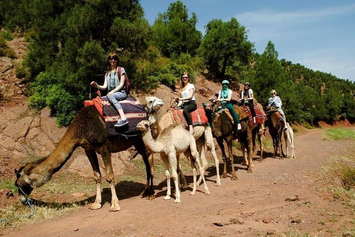 Atlas Adventure: Quad Biking, Camel Ride & Setti Fatma Waterfalls Day Trip from Marrakech photo 2