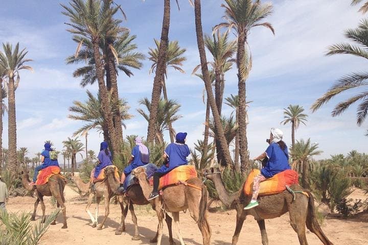 Camel Ride Through La Palmeraie: Marrakech Palm Grove Adventure photo 3