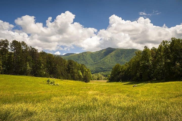 Smoky Mountains Local History Tour: Apple Barn to Foothills Parkway photo 2