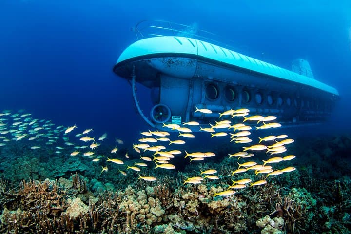 Dive Kona's Hidden Reef: Atlantis Submarine Adventure from Kona Beach