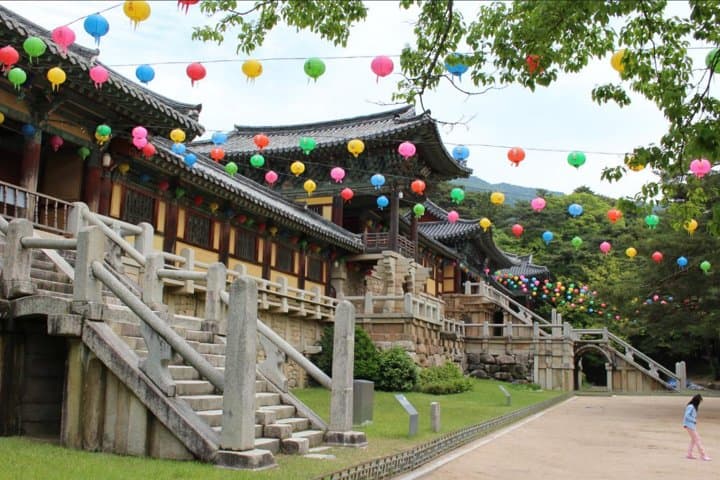 Gyeongju UNESCO Day Tour: Bulguksa, Seokguram & Silla History Revealed