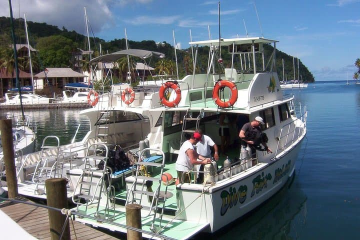 Beginner Scuba Diving in St Lucia: Marigot Bay Intro Dive photo 2
