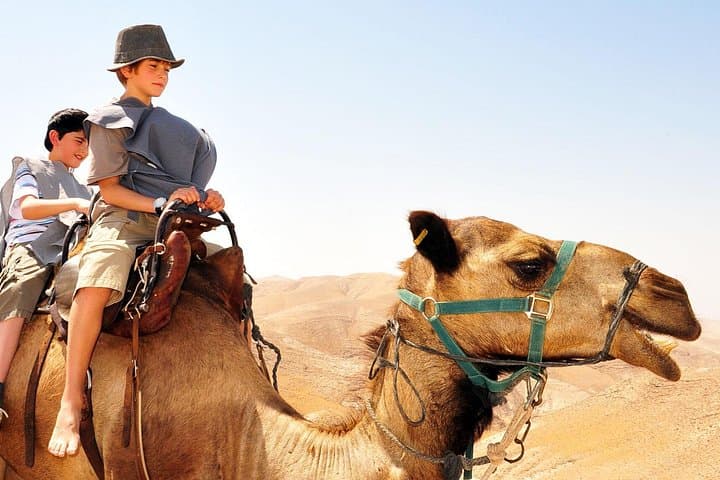Masada & Dead Sea 4x4 Adventure: Camel Ride and Bedouin Feast from Tel Aviv photo 2