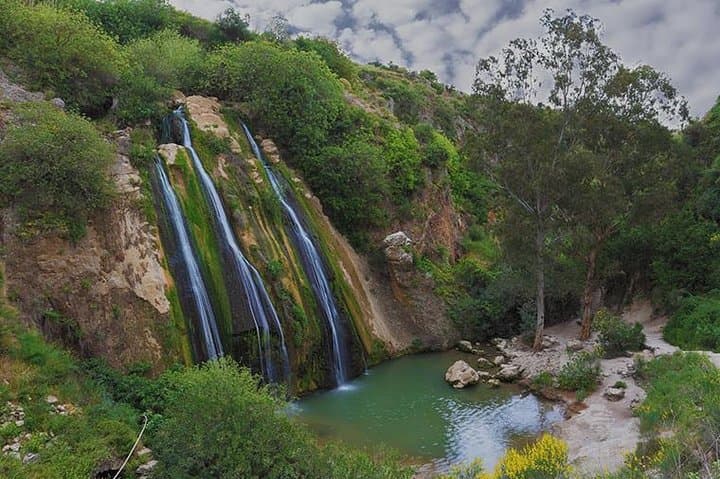 Golan Heights Off‑Road 4x4 Adventure & Wine Tasting from Tel Aviv