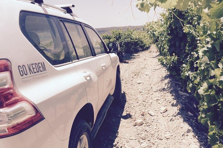 5-Day Cross-Israel Off-Road Adventure — Masada, Dead Sea, Galilee & Golan photo 2