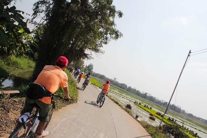 Half-Day Lanna Countryside Cycling Tour Chiang Mai: Rice Fields & Village Life