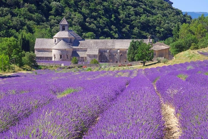 Full-Day Provence Lavender Tour from Avignon: Sault, Gordes & Sénanque photo 2