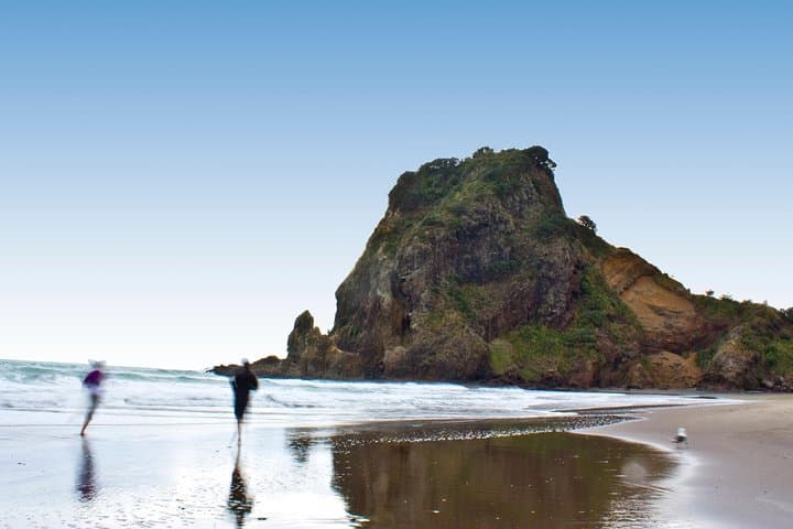 Auckland City to Piha: Full-Day City Highlights, Rainforest Walk & Black‑Sand Beach Experience photo 2