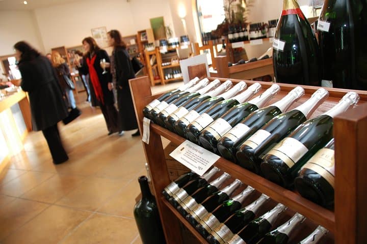 Kumeu Wine Country Half-Day Tour: Tastings, Lunch & Muriwai Gannets photo 3