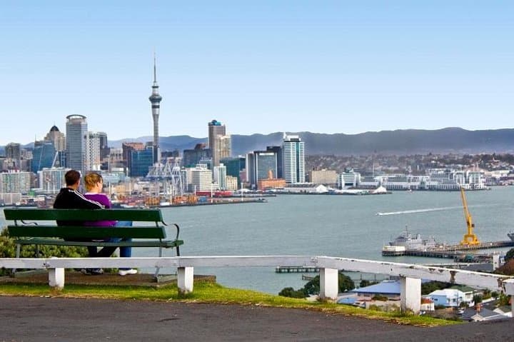 Half-Day Auckland Shore Excursion: Small-Group City Tour & North Shore Views